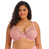 Elomi - Aerith Plunge BH Rose