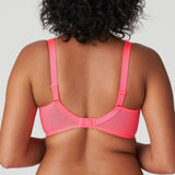 Primadonna - Devdaha Fullcup Bh Tropicana