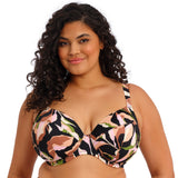 Elomi - Ocean Avenue Bikini Multi