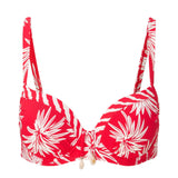 Lingadore - Leaf Bikini Top Leaf Stripe