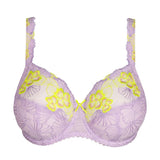 Primadonna - Ixia Fullcup Bh Wisteria