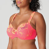Primadonna - Devdaha Fullcup Bh Tropicana