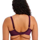 Elomi - Morgan Fullcup Bh Berry