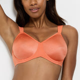 Triumph - Essential Minimizer Bh Apricot Brandy