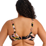 Elomi - Ocean Avenue Bikini Multi