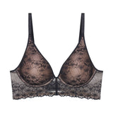 Triumph - Bright Spotlight Bh Sort