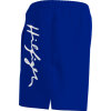 Tommy Hilfiger Herre - Hilfiger Logo Badebukser Sapphire Blue