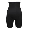 Primadonna - Figuras Shape Shorts Charcoal