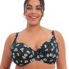 Elomi - Plain Sailing Bikini Fullcup Black Daisy