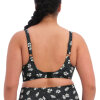 Elomi - Plain Sailing Bikini Fullcup Black Daisy
