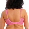 Elomi - Cate Soft Cup BH Desert Rose