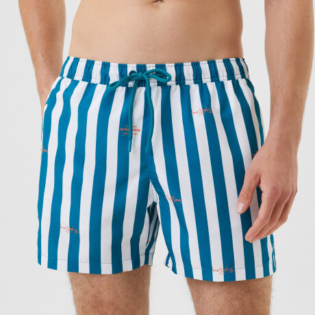 Bjørn Borg Herrer - Borg Badebukser Stribet Blå
