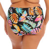 Elomi - Tropical Falls Bikini Tai Trusse