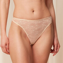 Triumph - Bright Spotlight String Creamy Dream