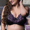 Plaisir - Beate Fullcup BH Violet
