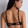 Aubade - The Night Before Plunge BH Blackbird