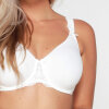 LingaDore - Daily Fullcup BH Plus Size Ivory LingaDore - Daily Fullcup BH Plus Size Ivory