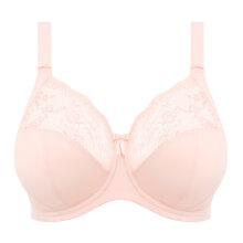 Elomi - Morgan Fullcup BH Ballet Pink Elomi - Morgan Fullcup BH Ballet Pink