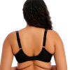 Elomi - Lucie Plunge BH Sort