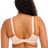 Elomi - Lucie Plunge BH Pale Blush