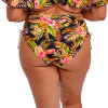 Elomi - Tiger Valley Bikini Maxi Sort