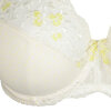 Primadonna - Novaro Fullcup BH Vintage Natural