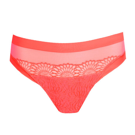 Primadonna - Sophora Tai Trusse Spritz Primadonna - Sophora Tai Trusse Spritz