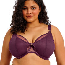 Elomi - Kintai Plunge BH Blackberry