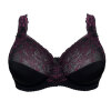 Plaisir - Beate Fullcup BH Merlot