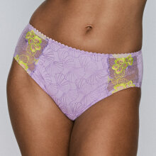 Primadonna - Ixia Maxi Trusse Wisteria